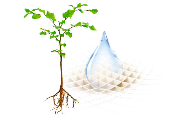 JRS Mission im täglichen Handeln