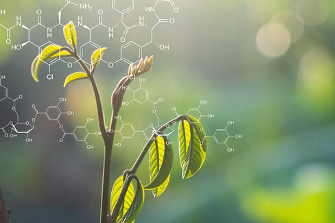 Innovativer System- und Technologie-Partner