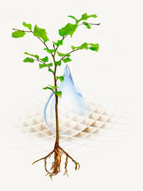 Fasern aus der Natur