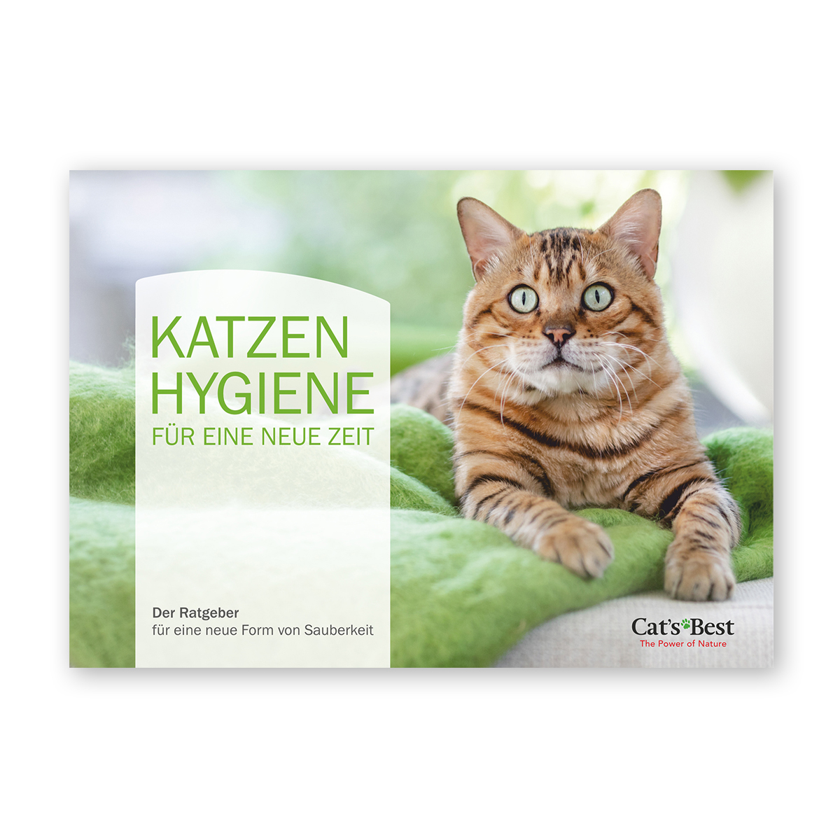 Katzenhygiene für eine neue Zeit